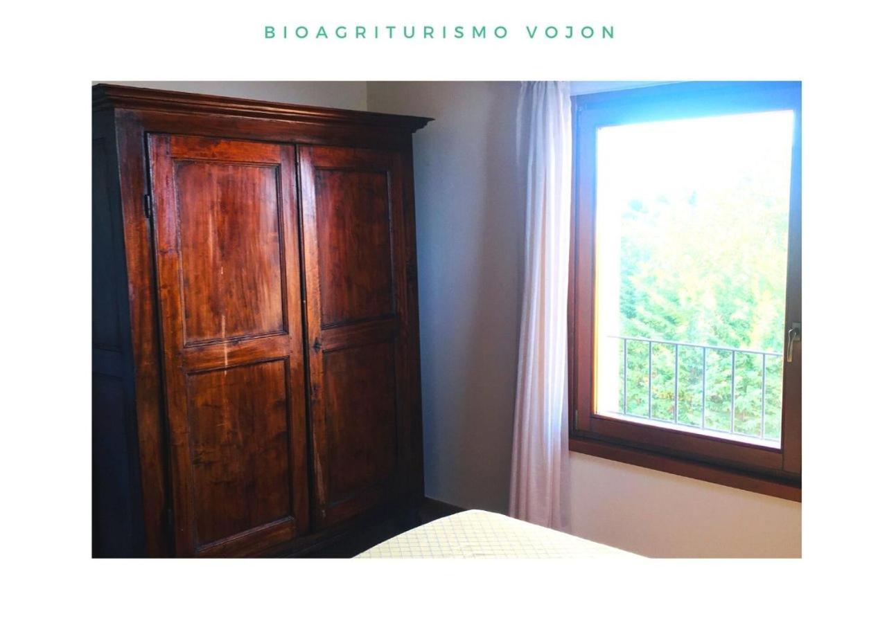Bio Agriturismo Vojon Понті-суль-Мінчіо Екстер'єр фото