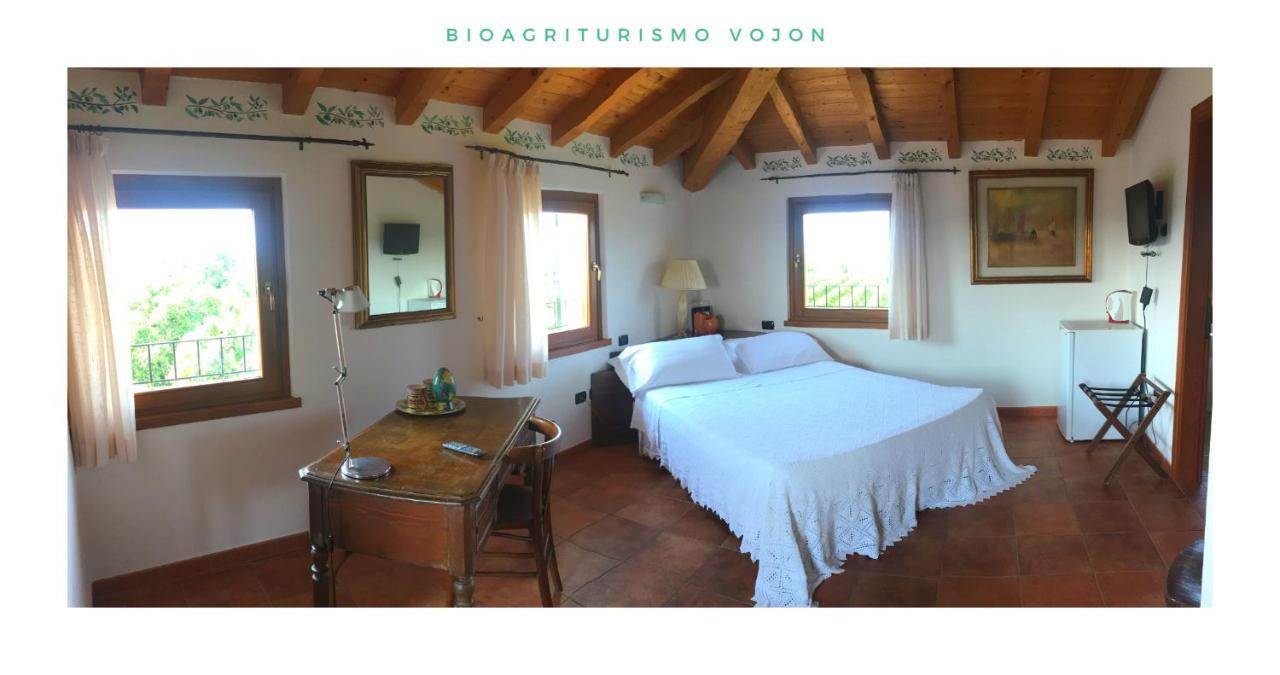 Bio Agriturismo Vojon Понті-суль-Мінчіо Екстер'єр фото