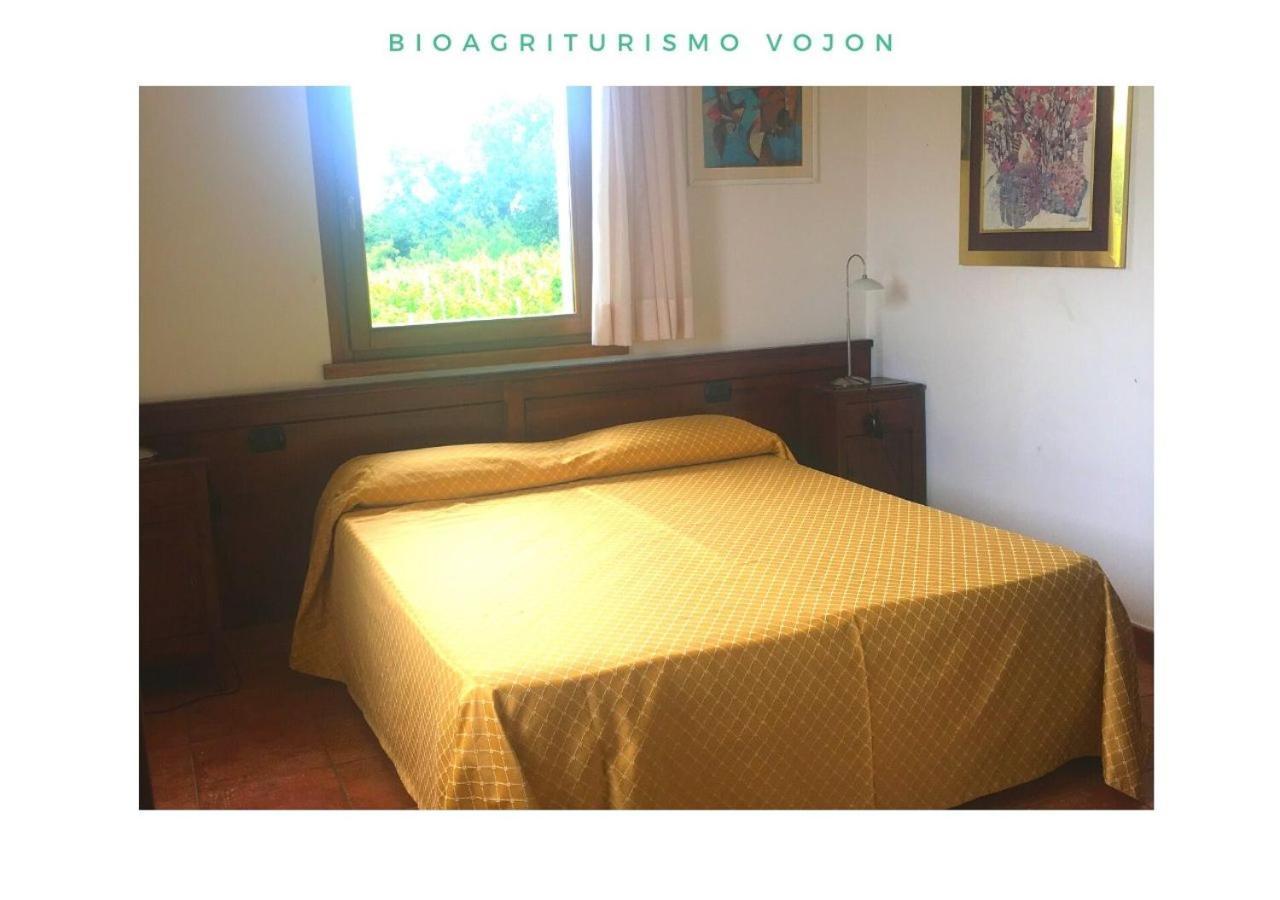 Bio Agriturismo Vojon Понті-суль-Мінчіо Екстер'єр фото