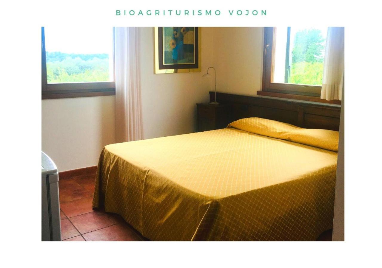 Вілла Bio Agriturismo Vojon Понті-суль-Мінчіо Екстер'єр фото