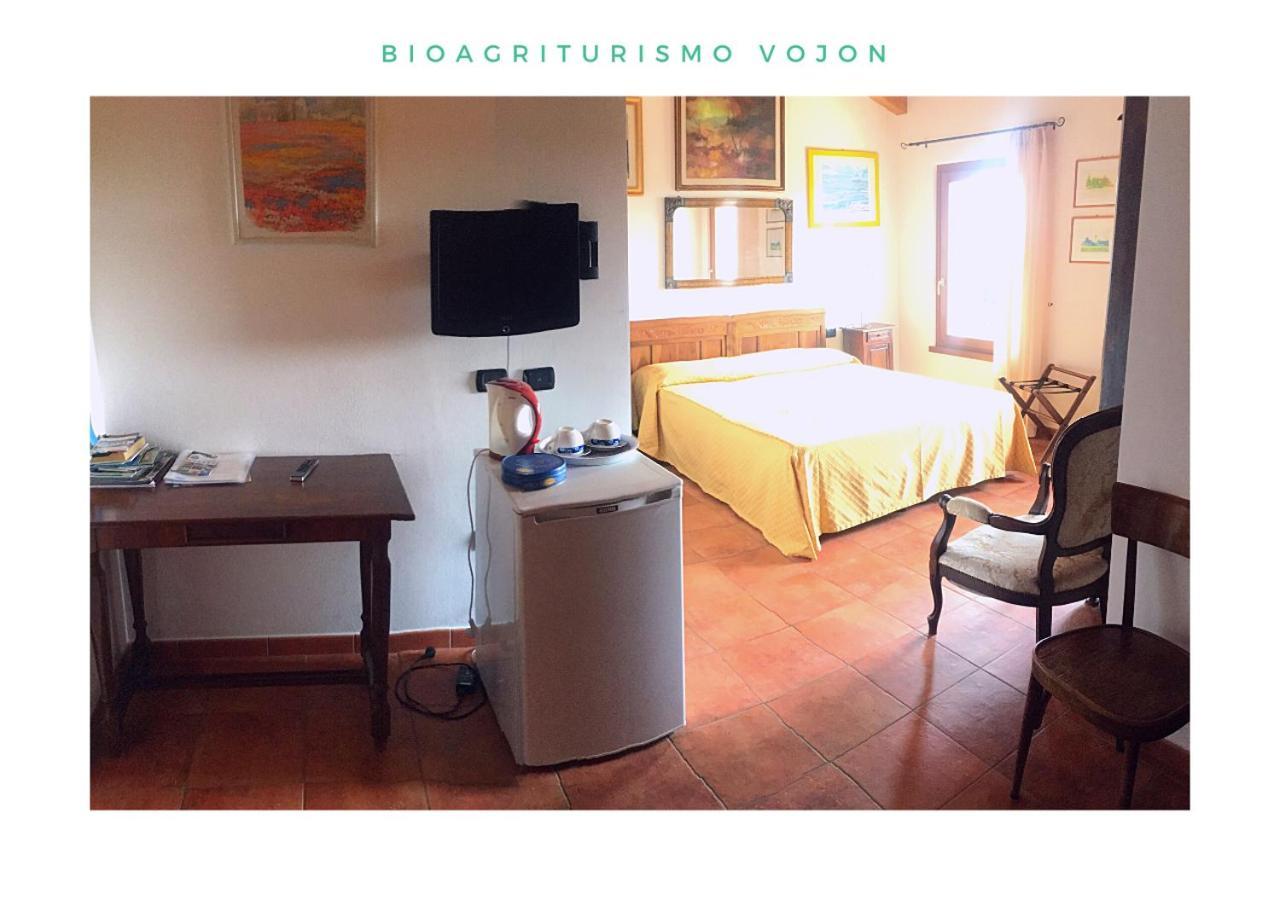 Bio Agriturismo Vojon Понті-суль-Мінчіо Екстер'єр фото