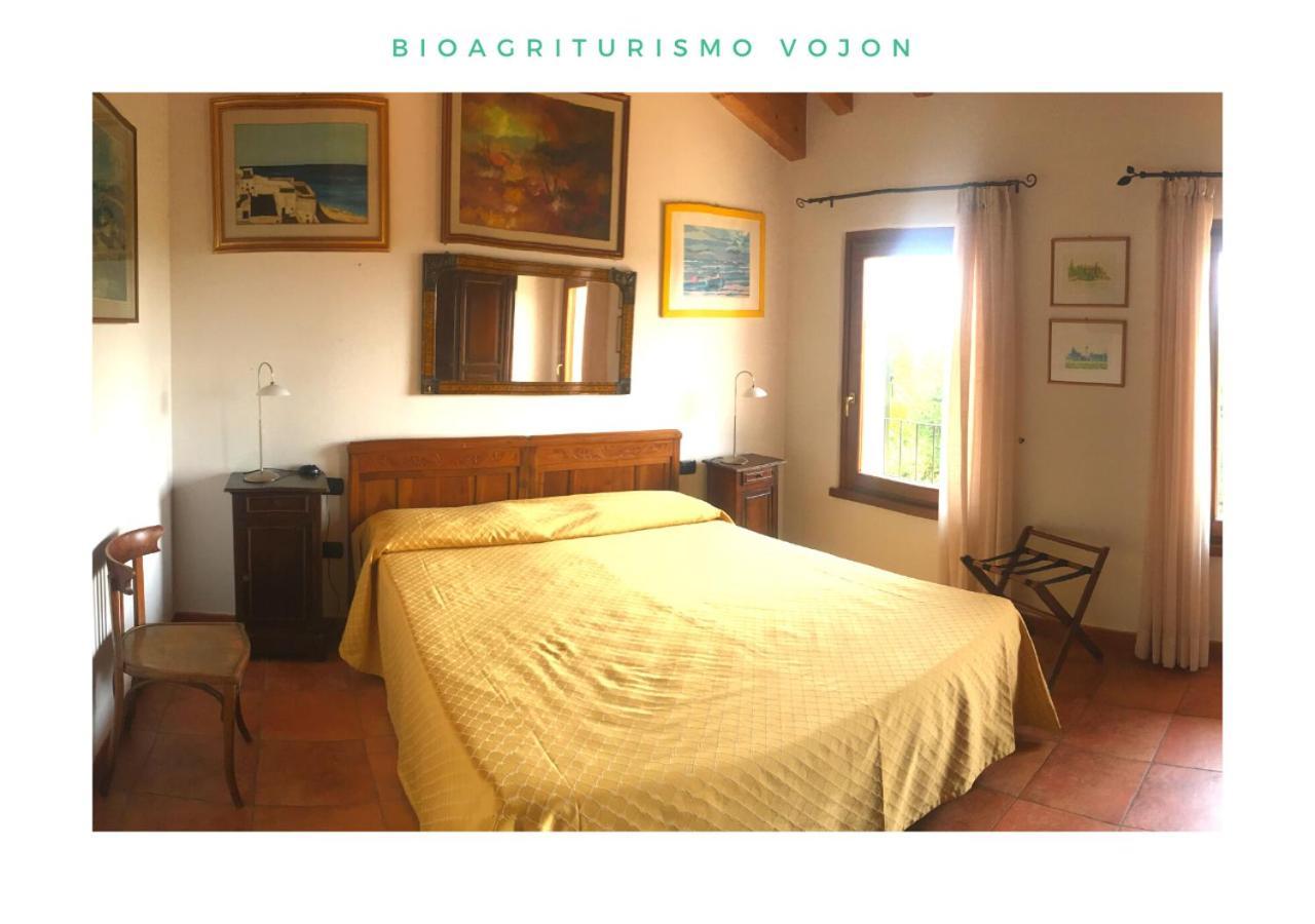 Вілла Bio Agriturismo Vojon Понті-суль-Мінчіо Екстер'єр фото