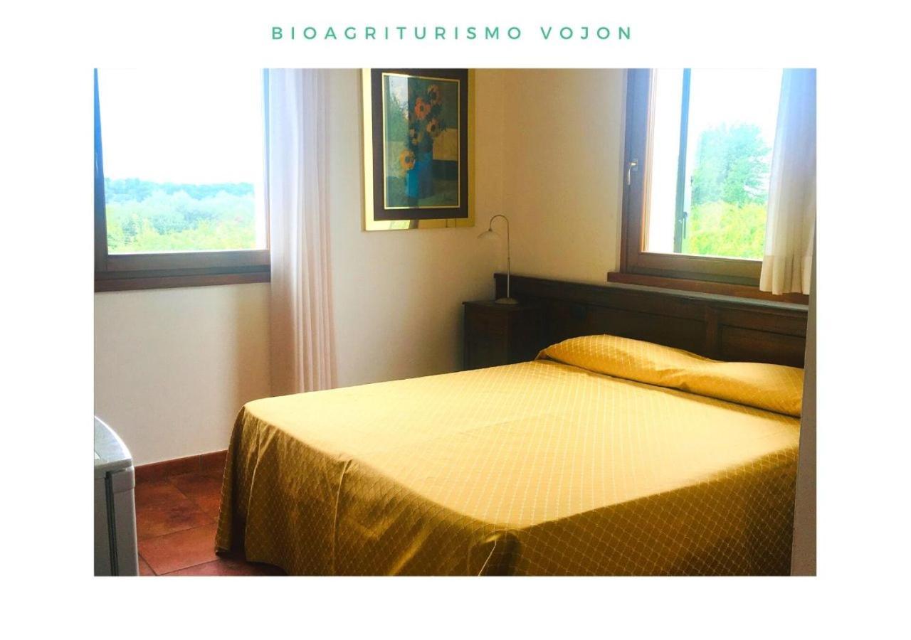 Bio Agriturismo Vojon Понті-суль-Мінчіо Екстер'єр фото